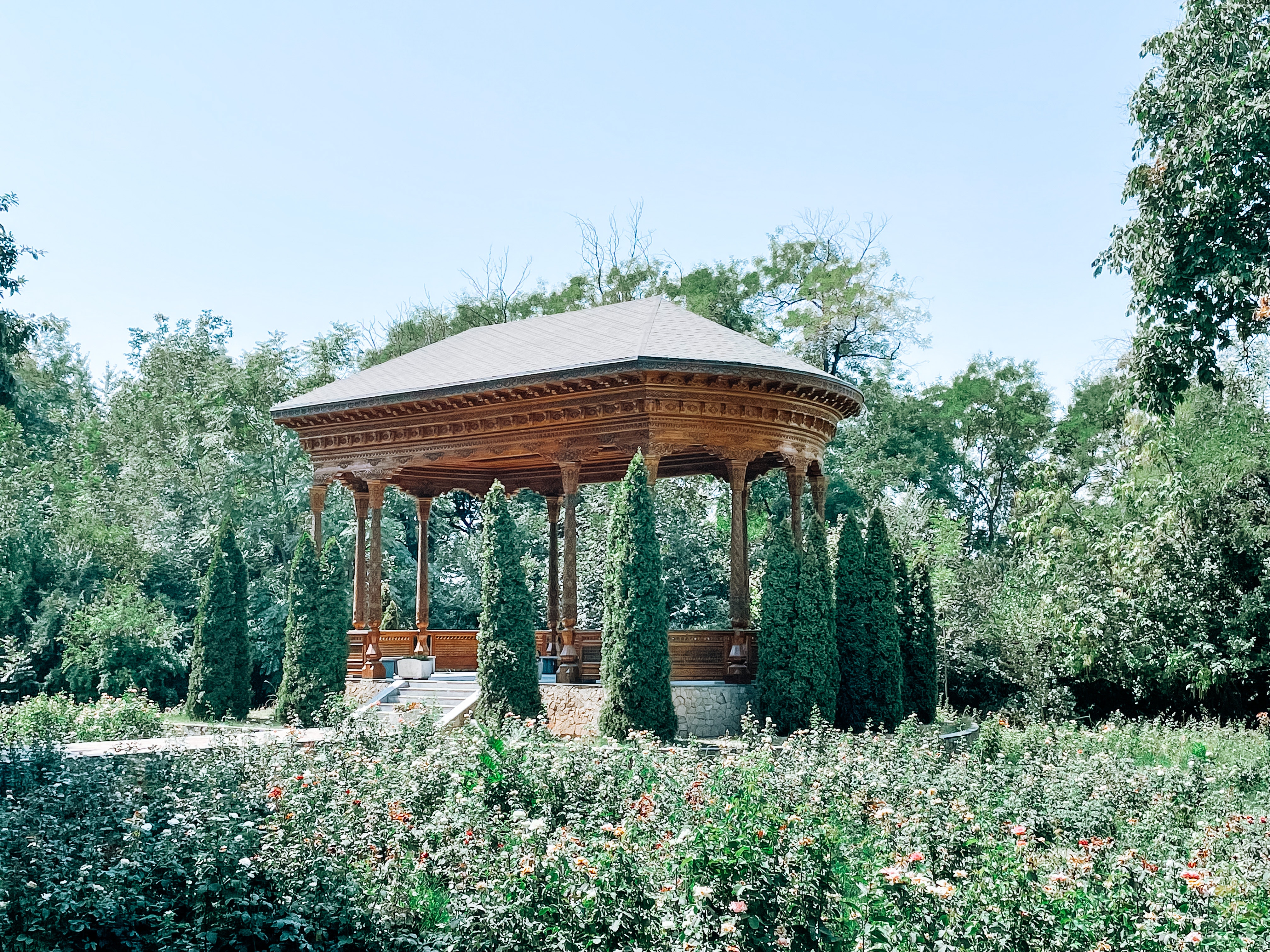 pexels nicole ashley rahayu densmoor 9376000